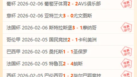 中国冰壶混双在亚冬会上击败菲律宾，摘得铜牌